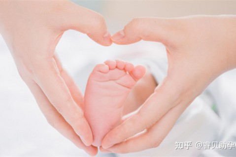 夏天厦门捐卵宝宝发烧 莫要急