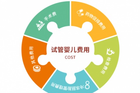 厦门捐卵宝宝肚痛，父母该怎么办？